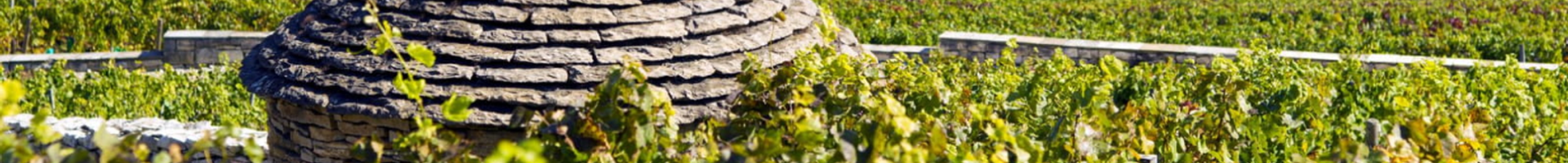 Côte de Nuits Villages