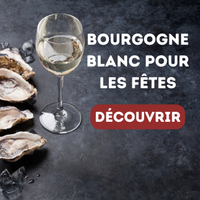 Bourgogne Blanc Pour Les Fêtes 🍷