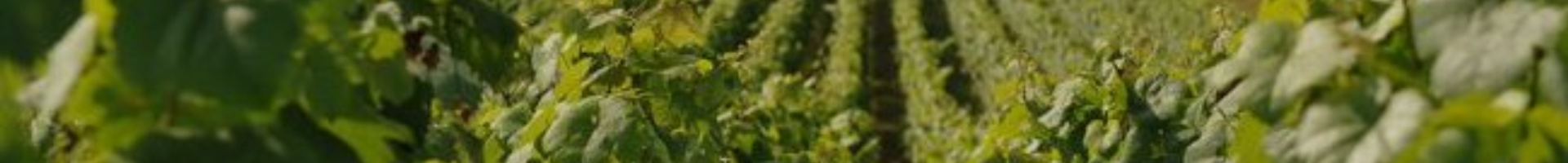 La Poule aux oeufs d'or - Famille Laplace