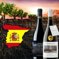 Les vins Espagnols !
