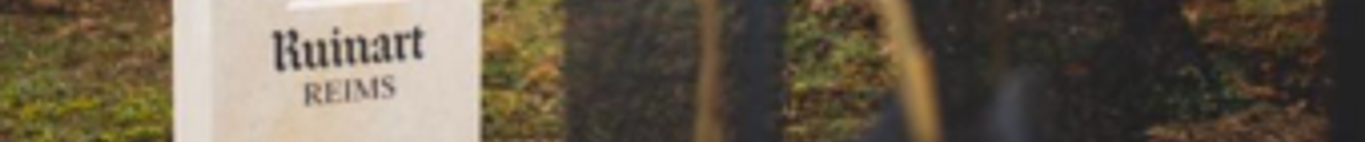 Champagne Ruinart 🍾