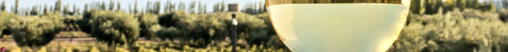 Vins blancs moelleux et liquoreux
