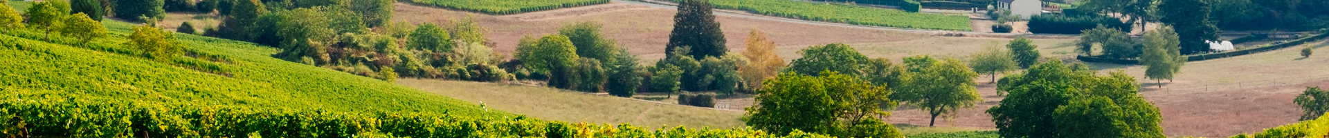 La Loire