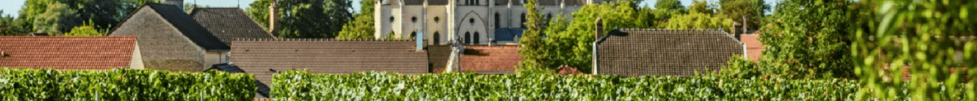 Laurent Perrier