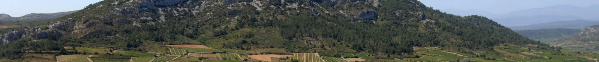 Côtes du Roussillon villages