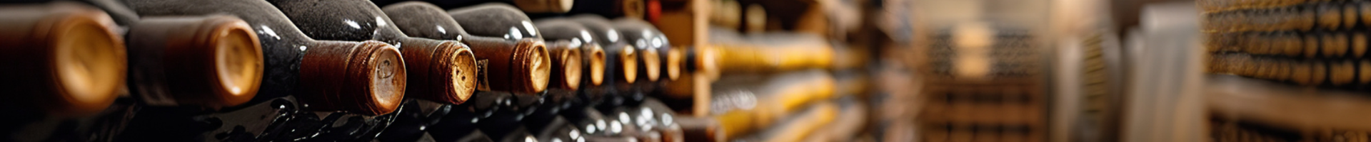 Bordeaux Rouge Pour Les Fêtes 🍷