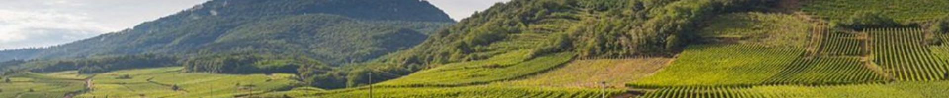 Côtes du Roussillon