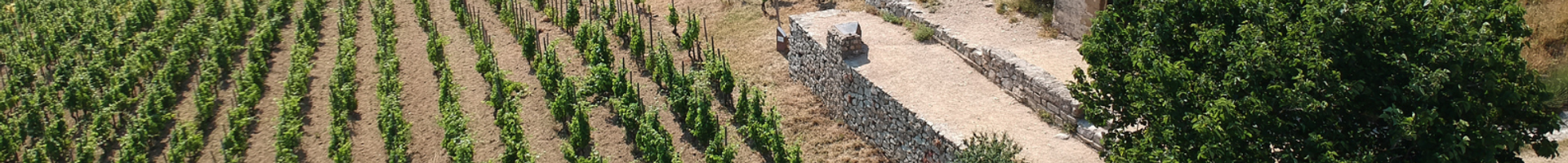 Vallée du Rhône Coffrets vins