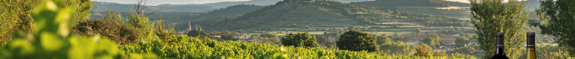Vins du Domaine de l'Arjolle 🍇