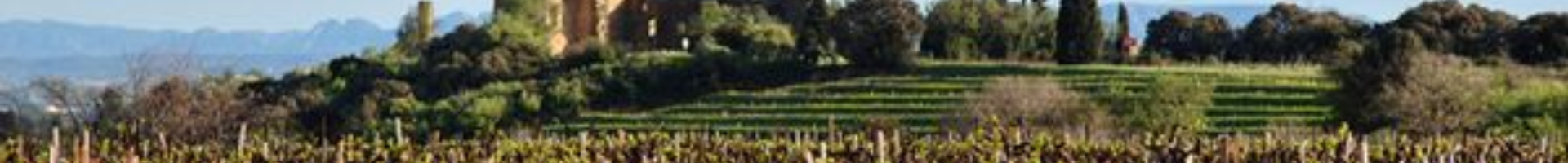 Châteauneuf-du-pape