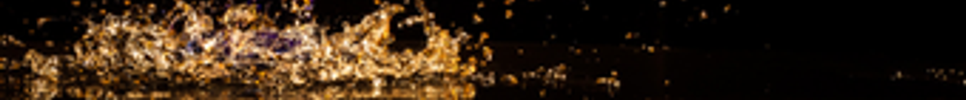 Champagnes Blanc de Blancs