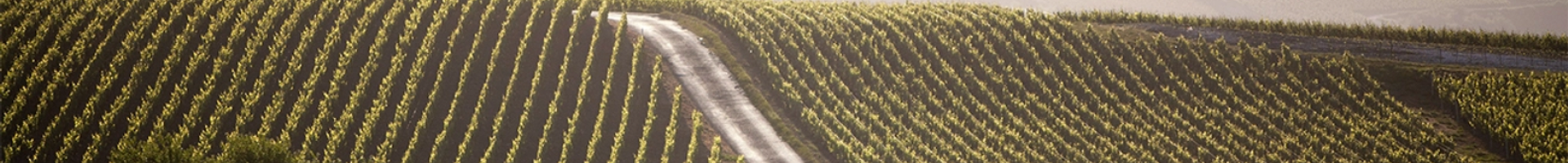 Taittinger
