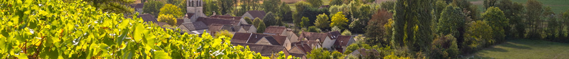 Crémant de Bourgogne