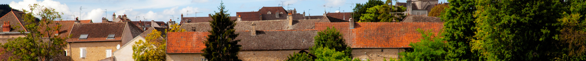 Bourgogne Blanc Pour Les Fêtes 🍷