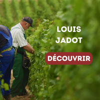 Louis Jadot