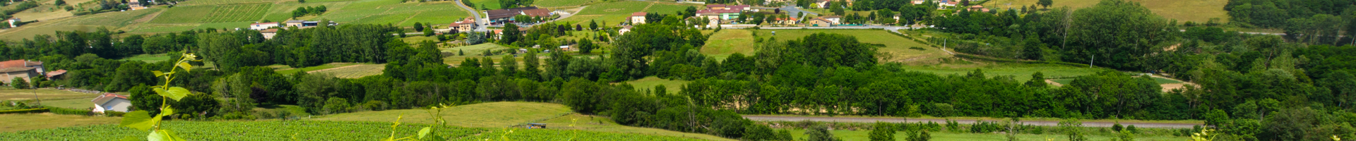 Beaujolais