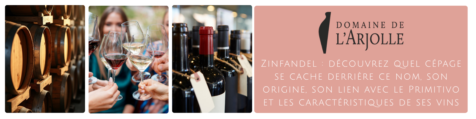 cms-zinfandel-decouvrez-quel-cepage-se-cache-derriere-ce-nom-son-origine-son-lien-avec-le-primitivo-et-les-caracteristiques-de-ses-vins.png