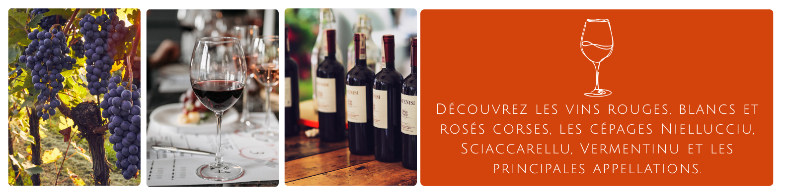 cms-decouvrez-les-vins-rouges-blancs-et-roses-corses-les-cepages-niellucciu-sciaccarellu-vermentinu-et-les-principales-appellations..png