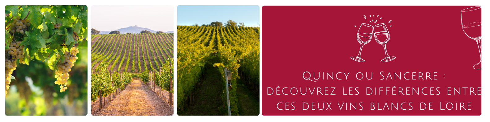 cms-quincy-ou-sancerre-decouvrez-les-differences-entre-ces-deux-vins-blancs-de-loire.png