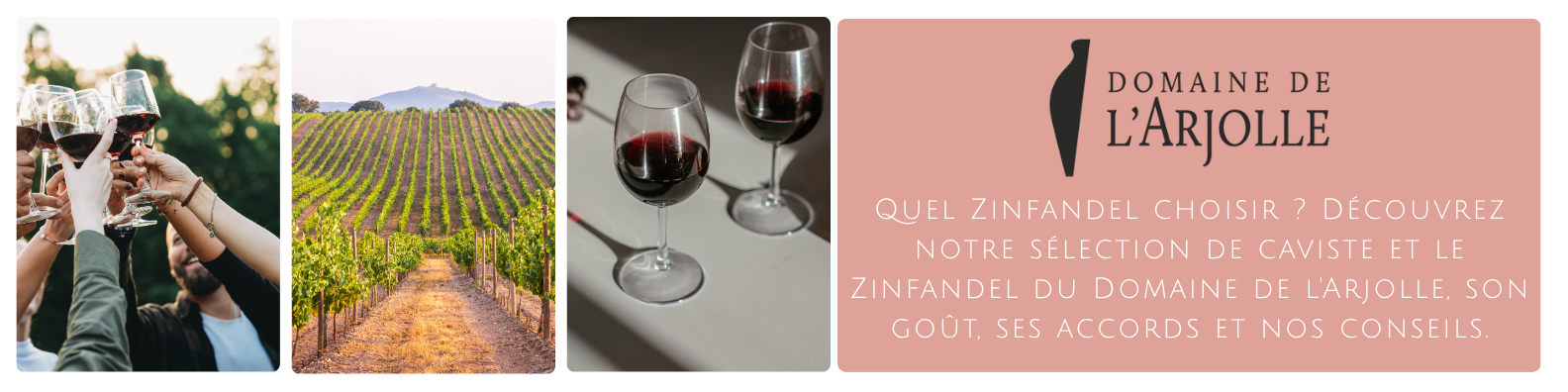 cms-quel-zinfandel-choisir-decouvrez-notre-selection-de-caviste-et-le-zinfandel-du-domaine-de-larjolle-son-gout-ses-accords-et-nos-conseils..png