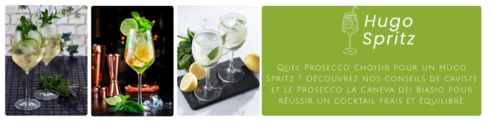 cms-quel-prosecco-choisir-pour-un-hugo-spritz-decouvrez-nos-conseils-de-caviste-et-le-prosecco-la-caneva-dei-biasio-pour-reussir-un-cocktail-frais-et-equilibre..png