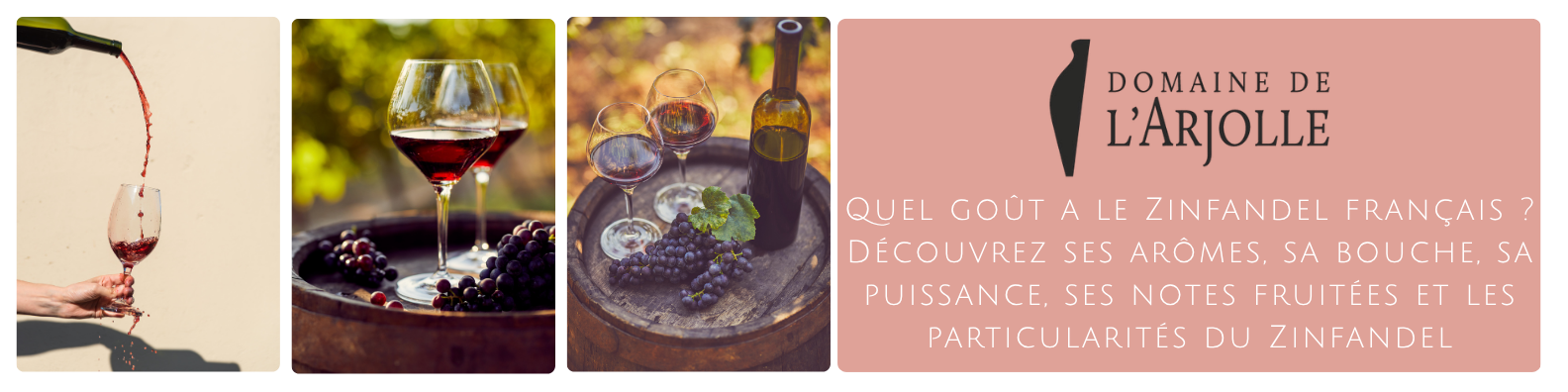 cms-quel-gout-a-le-zinfandel-francais-decouvrez-ses-aromes-sa-bouche-sa-puissance-ses-notes-fruitees-et-les-particularites-du-zinfandel.png