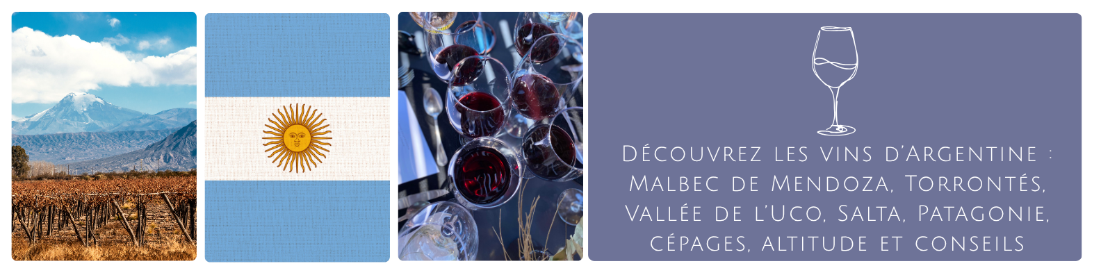 cms-decouvrez-les-vins-dargentine-malbec-de-mendoza-torrontes-vallee-de-luco-salta-patagonie-cepages-altitude-et-conseils.png