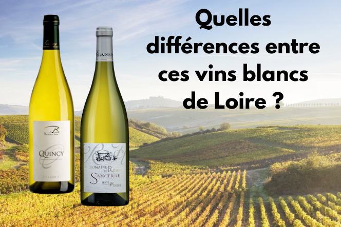 cms-quelles-differences-entre-ces-vins-blancs-de-loire.png