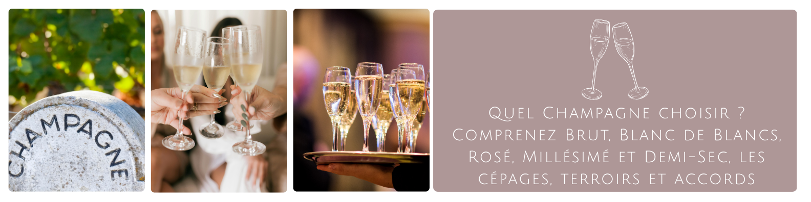cms-quel-champagne-choisir-comprenez-brut-blanc-de-blancs-rose-millesime-et-demi-sec-les-cepages-terroirs-et-accords.png