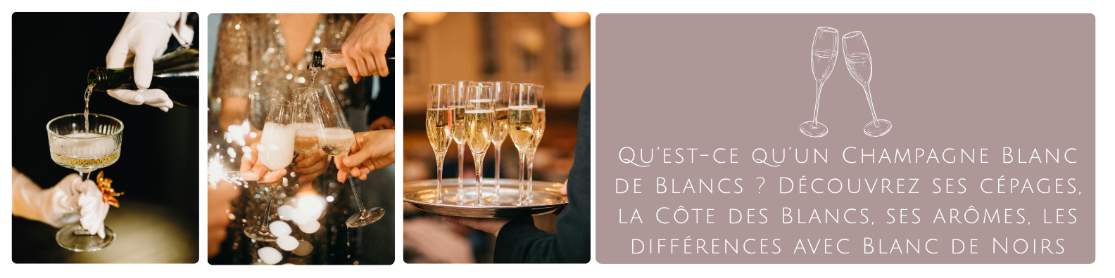 cms-quest-ce-quun-champagne-blanc-de-blancs-decouvrez-ses-cepages-la-cote-des-blancs-ses-aromes-les-differences-avec-blanc-de-noirs.png