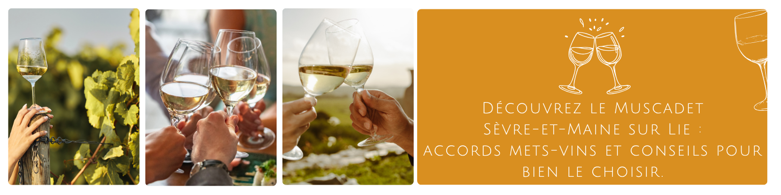 cms-decouvrez-le-muscadet-sevre-et-maine-sur-lie-accords-mets-vins-et-conseils-pour-bien-le-choisir..png