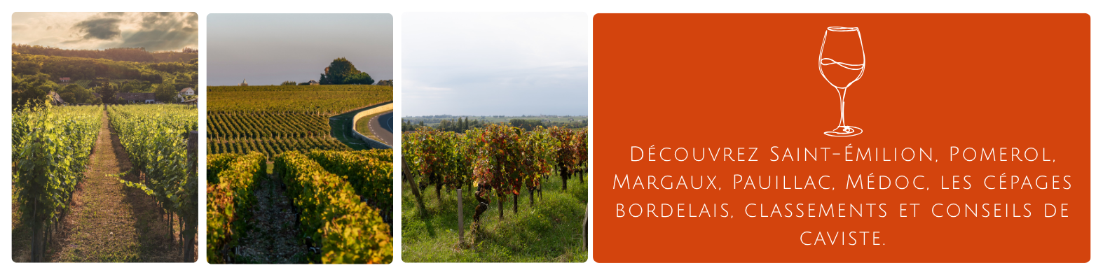 cms-decouvrez-saint-emilion-pomerol-margaux-pauillac-medoc-les-cepages-bordelais-classements-et-conseils-de-caviste..png