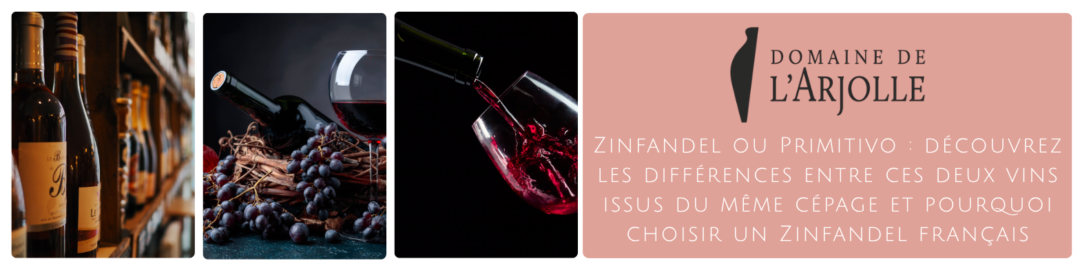 cms-zinfandel-ou-primitivo-decouvrez-les-differences-entre-ces-deux-vins-issus-du-meme-cepage-et-pourquoi-choisir-un-zinfandel-francais.png